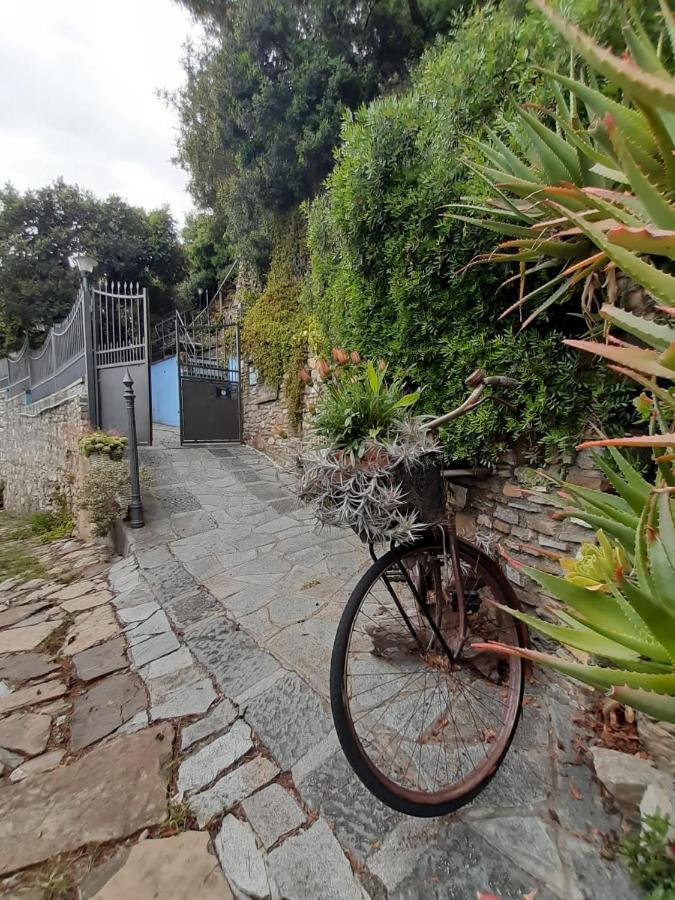 Holiday home Ca Dell'acciuga *